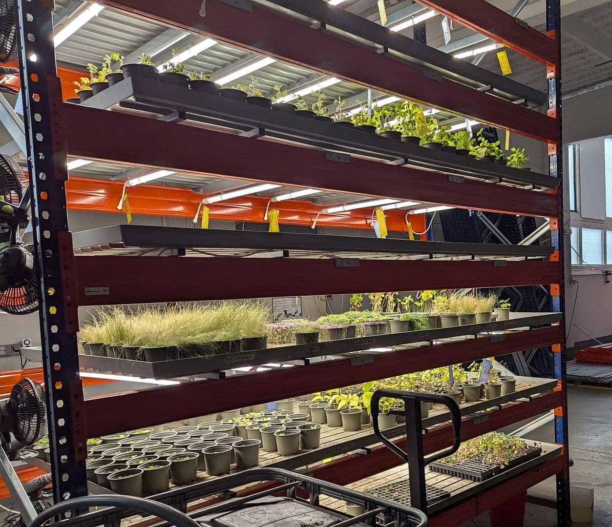 Pronájem nebytového prostoru 473 m², Wesseling, Severní Porýní-Vestfálsko Pronájem nebytového prostoru 473 m², Wesseling, Severní Porýní-Vestfálsko