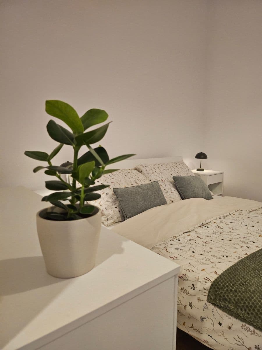 Pronájem bytu 1+kk 35 m², Petrská, Praha, Praha Pronájem bytu 1+kk 35 m², Petrská, Praha, Praha