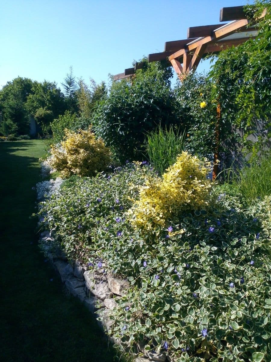 Pronájem domu 170 m², pozemek 980 m², Sluneční, Velké Přítočno, Středočeský kraj Pronájem domu 170 m², pozemek 980 m², Sluneční, Velké Přítočno, Středočeský kraj