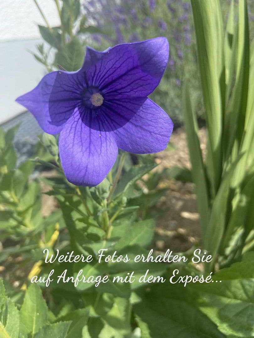 Prodej bytu 3+1 88 m², Augsburg, Bavorsko Prodej bytu 3+1 88 m², Augsburg, Bavorsko