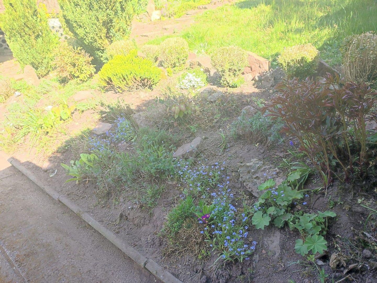 Prodej domu 129 m², pozemek 372 m², Helsa, Hessen Prodej domu 129 m², pozemek 372 m², Helsa, Hessen