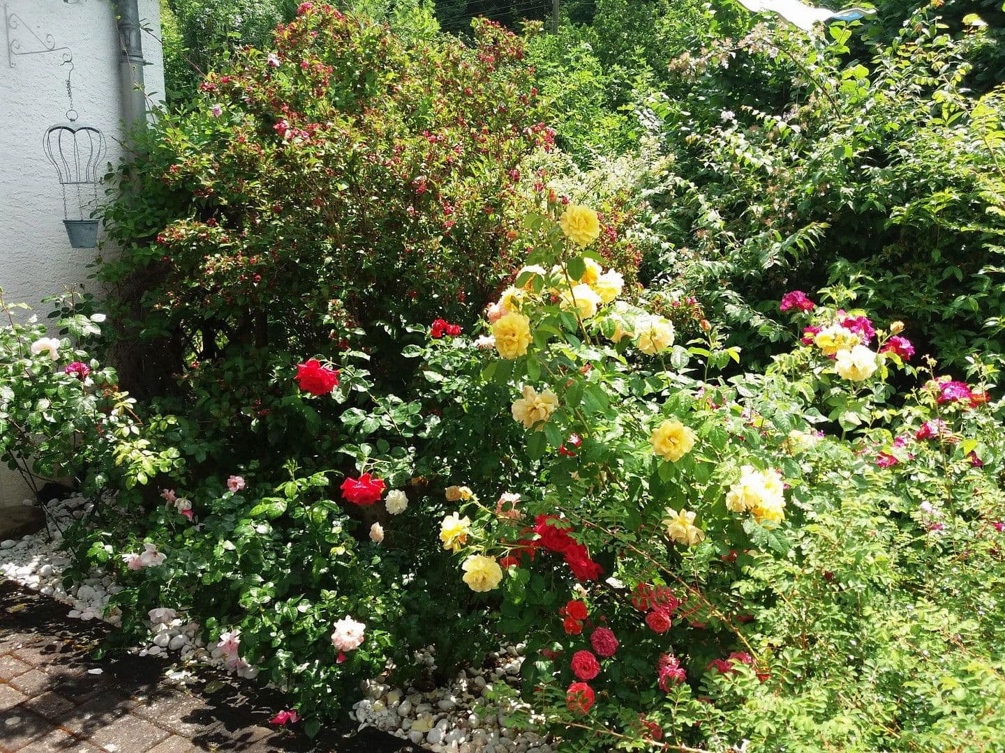 Prodej domu 188 m², pozemek 1.233 m², Densborn, Porýní-Falc Prodej domu 188 m², pozemek 1.233 m², Densborn, Porýní-Falc