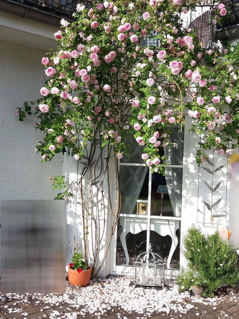 Prodej domu 188 m², pozemek 1.233 m², Densborn, Porýní-Falc Prodej domu 188 m², pozemek 1.233 m², Densborn, Porýní-Falc