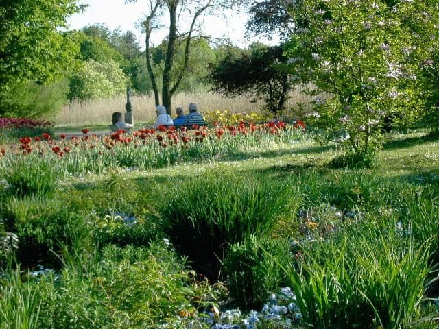 Pronájem bytu 2+1 80 m², München, Bavorsko Pronájem bytu 2+1 80 m², München, Bavorsko