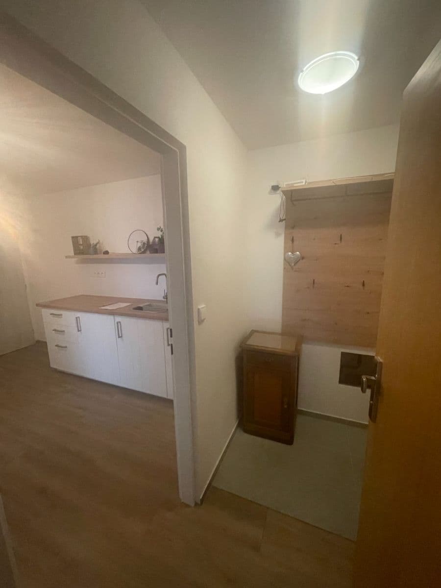 Pronájem bytu 2+kk 48 m², Mlýnská, Brno, Jihomoravský kraj Pronájem bytu 2+kk 48 m², Mlýnská, Brno, Jihomoravský kraj