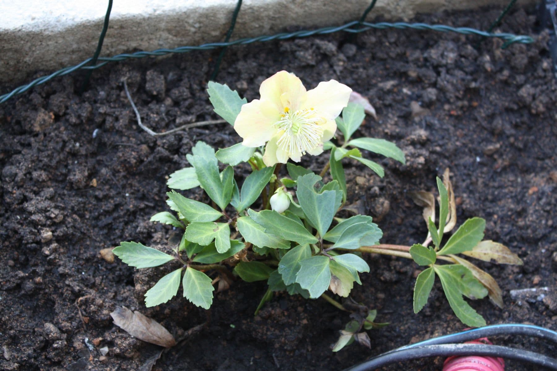 Pronájem bytu 2+kk 27 m², Ve Střešovičkách, Praha, Praha Pronájem bytu 2+kk 27 m², Ve Střešovičkách, Praha, Praha