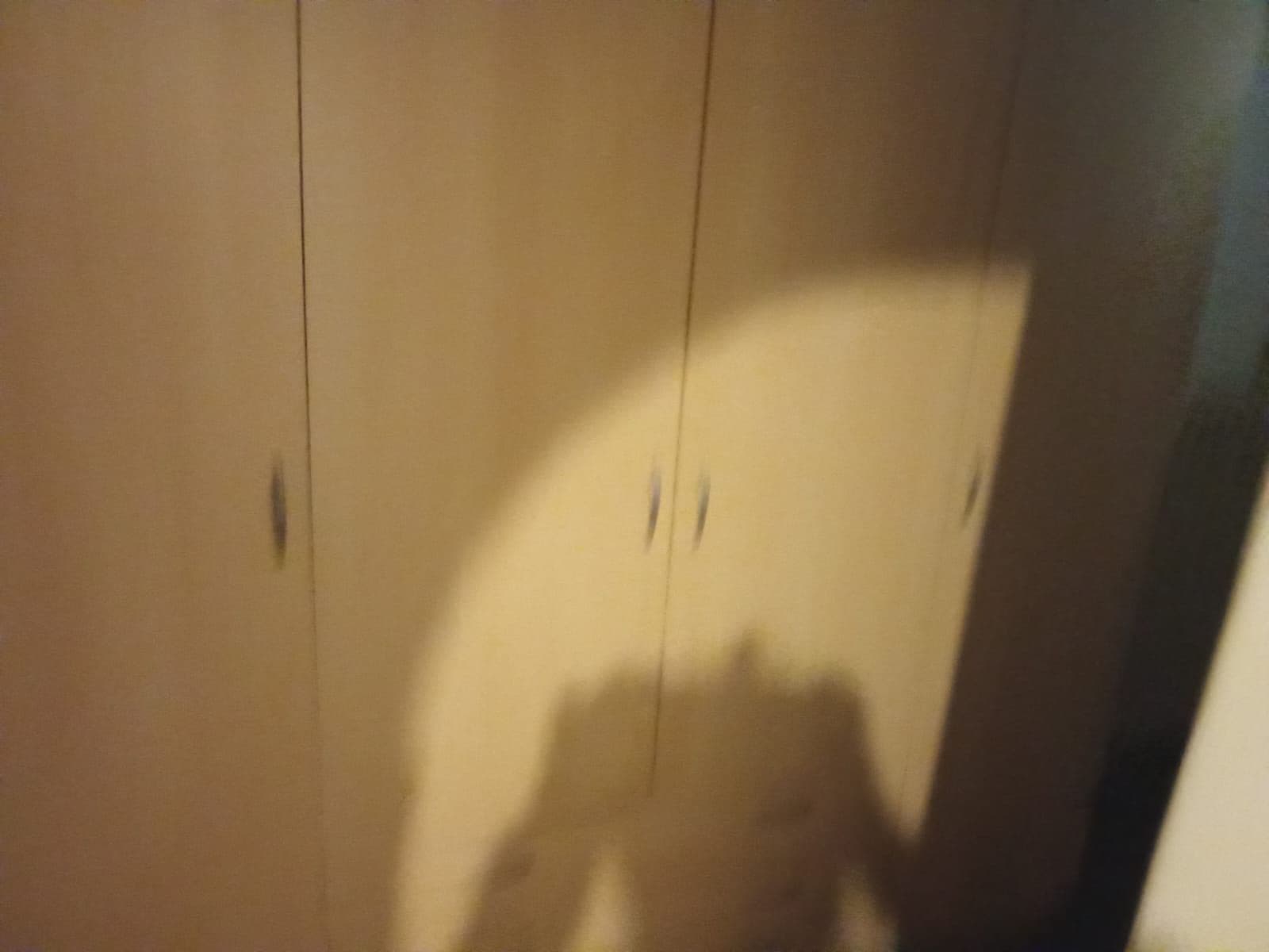 Pronájem bytu 2+kk 67 m², Heřmanova, Praha, Praha Pronájem bytu 2+kk 67 m², Heřmanova, Praha, Praha