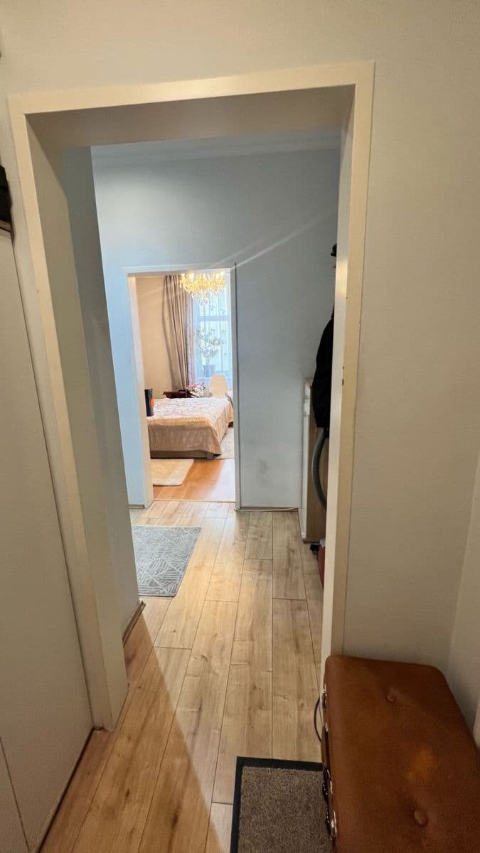 Pronájem bytu 2+kk 50 m², Rejskova, Praha, Praha Pronájem bytu 2+kk 50 m², Rejskova, Praha, Praha