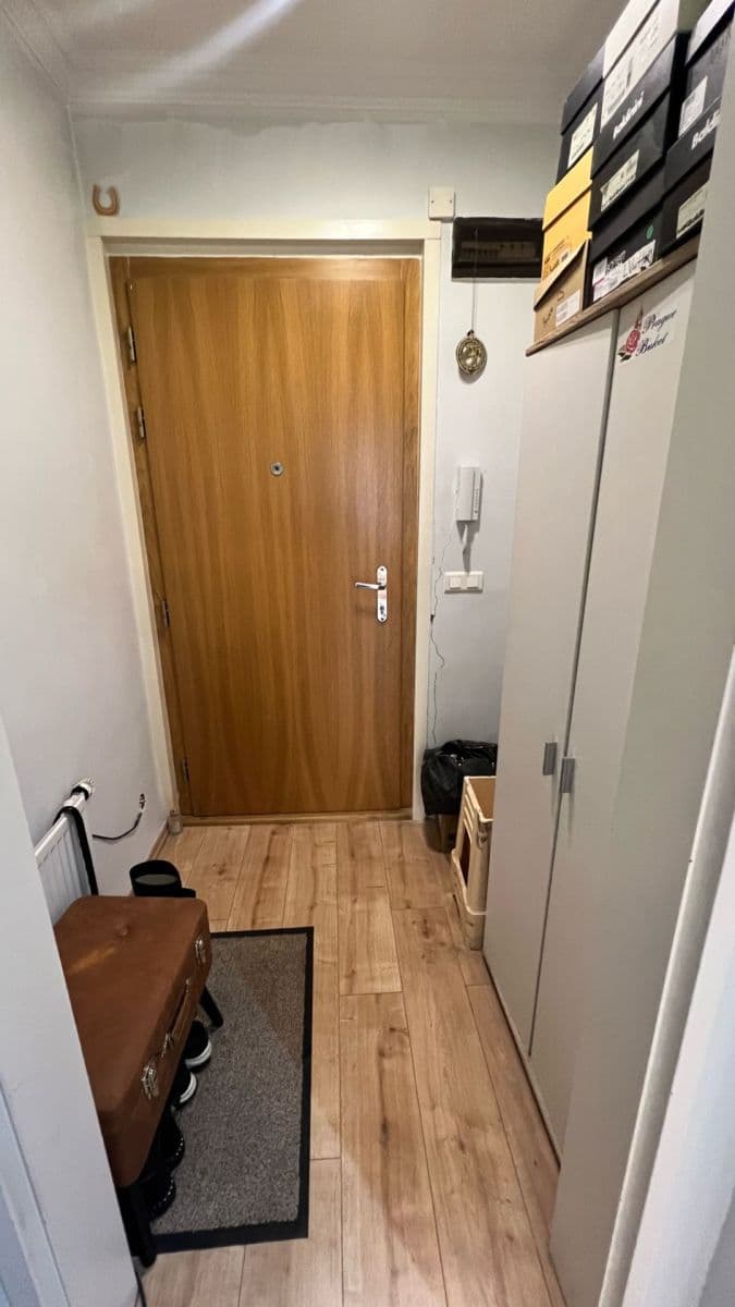 Pronájem bytu 2+kk 50 m², Rejskova, Praha, Praha Pronájem bytu 2+kk 50 m², Rejskova, Praha, Praha