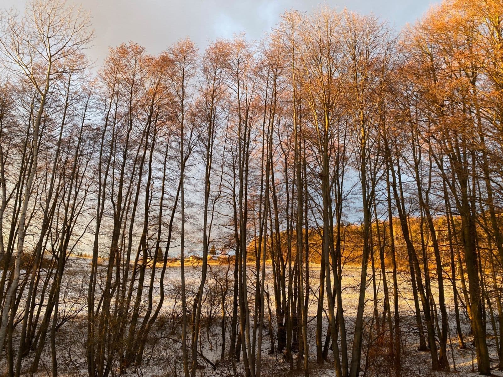Prodej chaty, chalupy 35 m², pozemek 324 m², Struhařov, Středočeský kraj Prodej chaty, chalupy 35 m², pozemek 324 m², Struhařov, Středočeský kraj