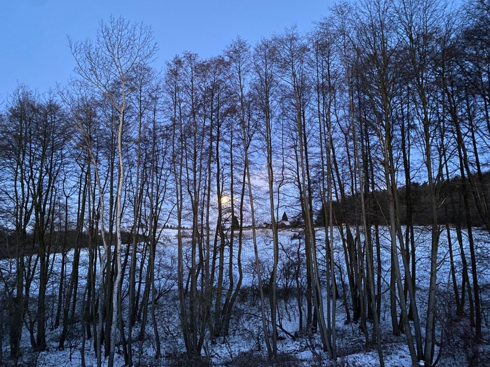 Prodej chaty, chalupy 35 m², pozemek 324 m², Struhařov, Středočeský kraj Prodej chaty, chalupy 35 m², pozemek 324 m², Struhařov, Středočeský kraj