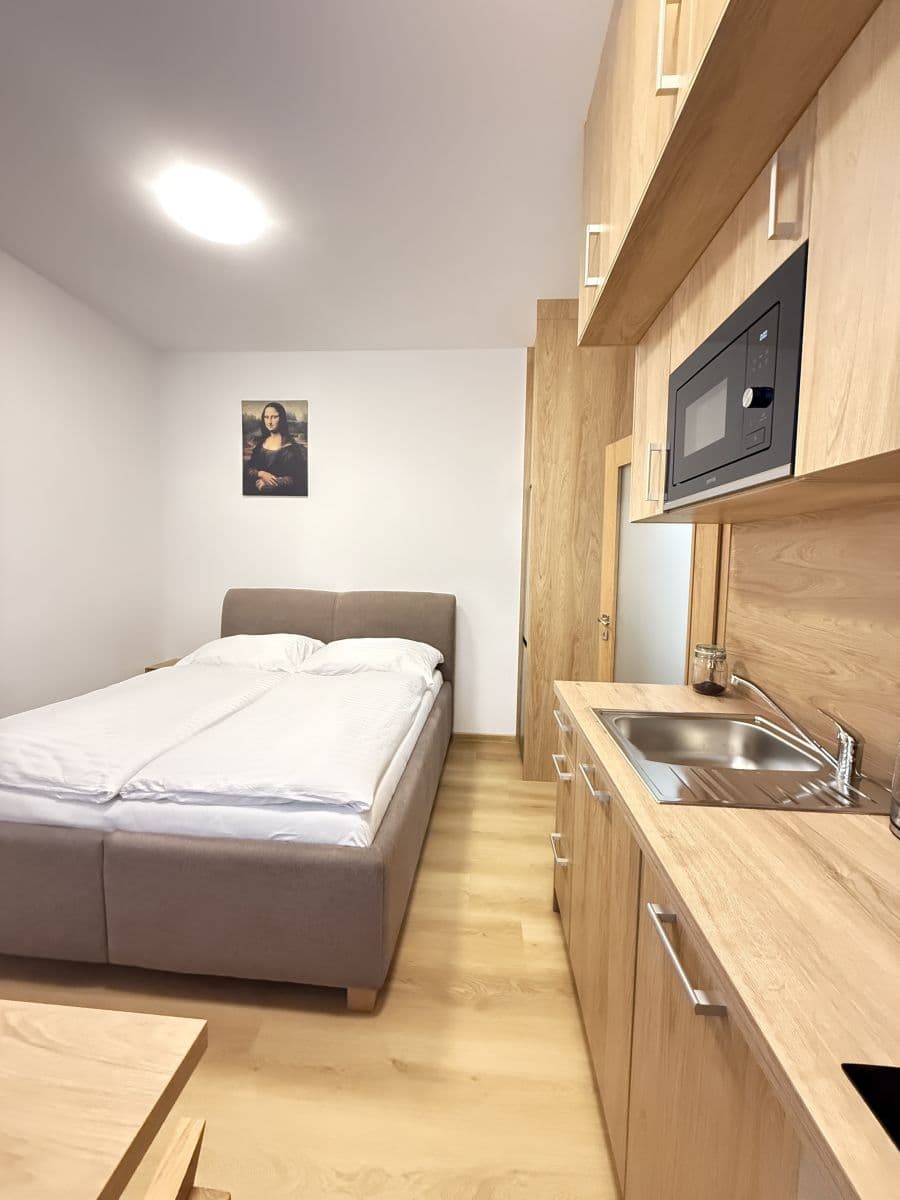 Pronájem bytu 21 m², Zbraslavská, Praha, Praha Pronájem bytu 21 m², Zbraslavská, Praha, Praha