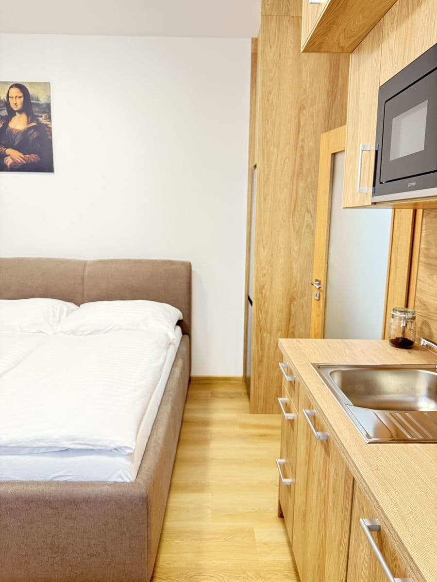 Pronájem bytu 21 m², Zbraslavská, Praha, Praha Pronájem bytu 21 m², Zbraslavská, Praha, Praha