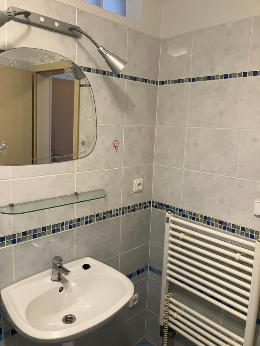 Pronájem bytu 1+kk 43 m², Na kovárně, Brno, Jihomoravský kraj Pronájem bytu 1+kk 43 m², Na kovárně, Brno, Jihomoravský kraj