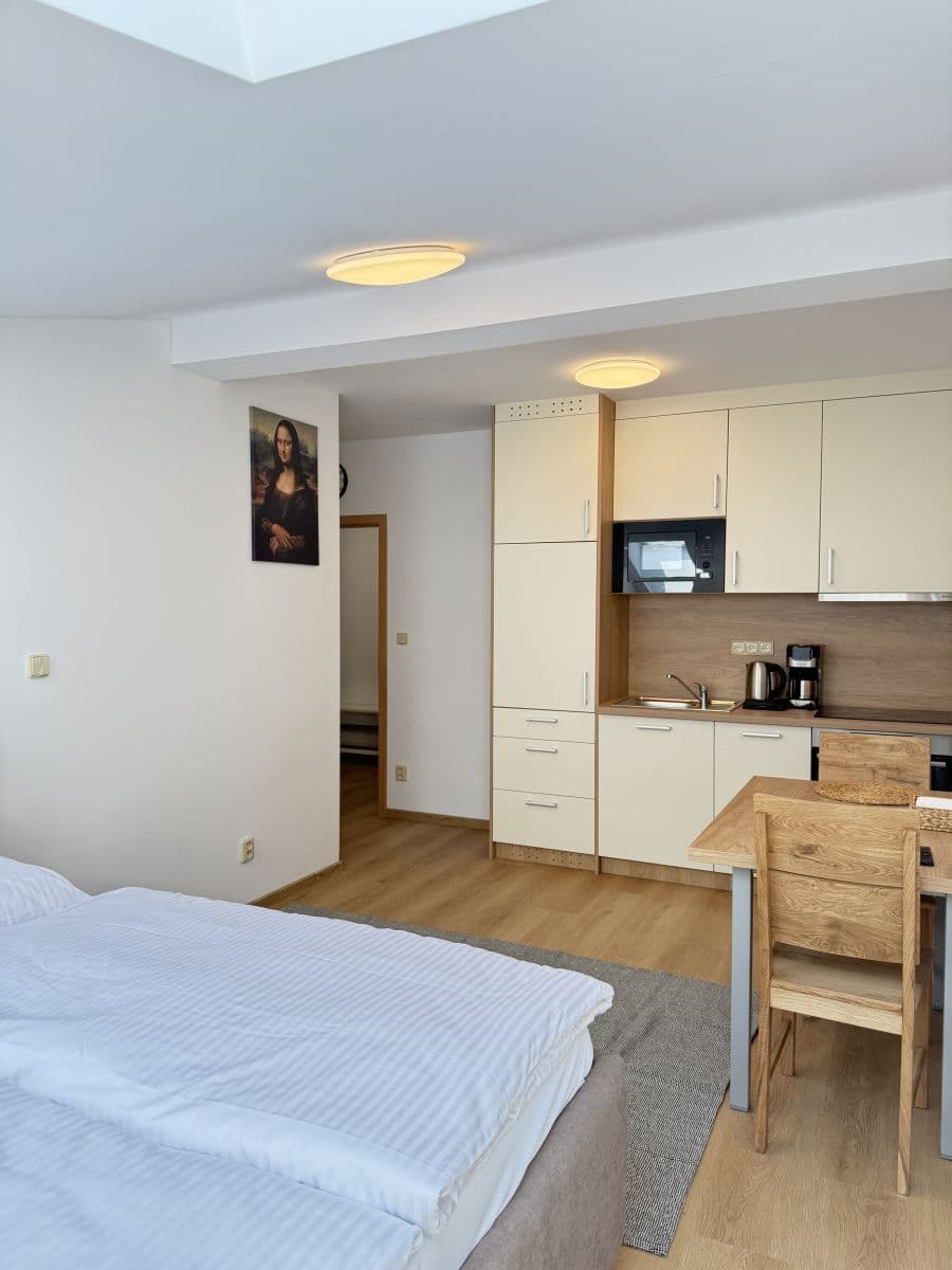 Pronájem bytu 24 m², Zbraslavská, Praha, Praha Pronájem bytu 24 m², Zbraslavská, Praha, Praha