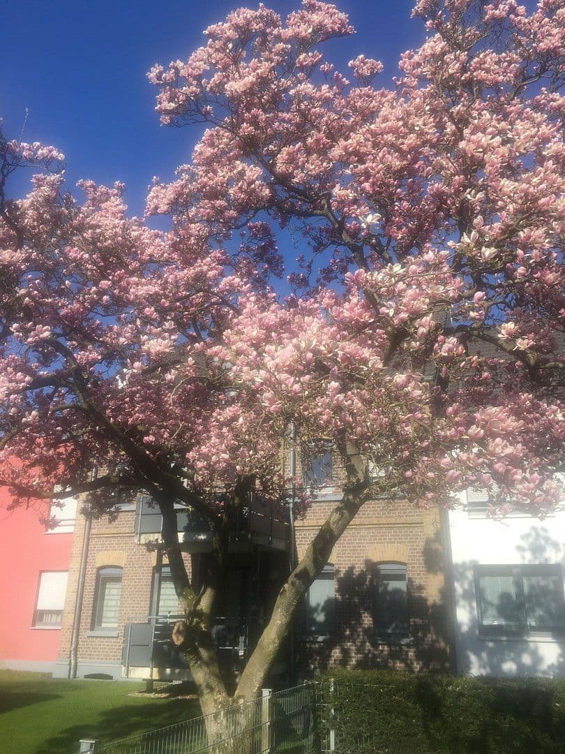 Prodej bytu 3+1 85 m², Am Dreieck 17, Kaarst, Severní Porýní-Vestfálsko Prodej bytu 3+1 85 m², Am Dreieck 17, Kaarst, Severní Porýní-Vestfálsko