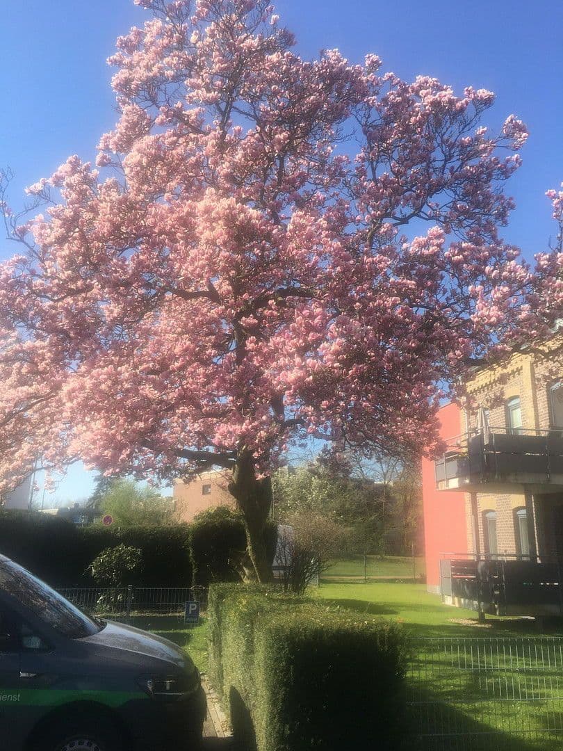 Prodej bytu 3+1 85 m², Am Dreieck 17, Kaarst, Severní Porýní-Vestfálsko Prodej bytu 3+1 85 m², Am Dreieck 17, Kaarst, Severní Porýní-Vestfálsko