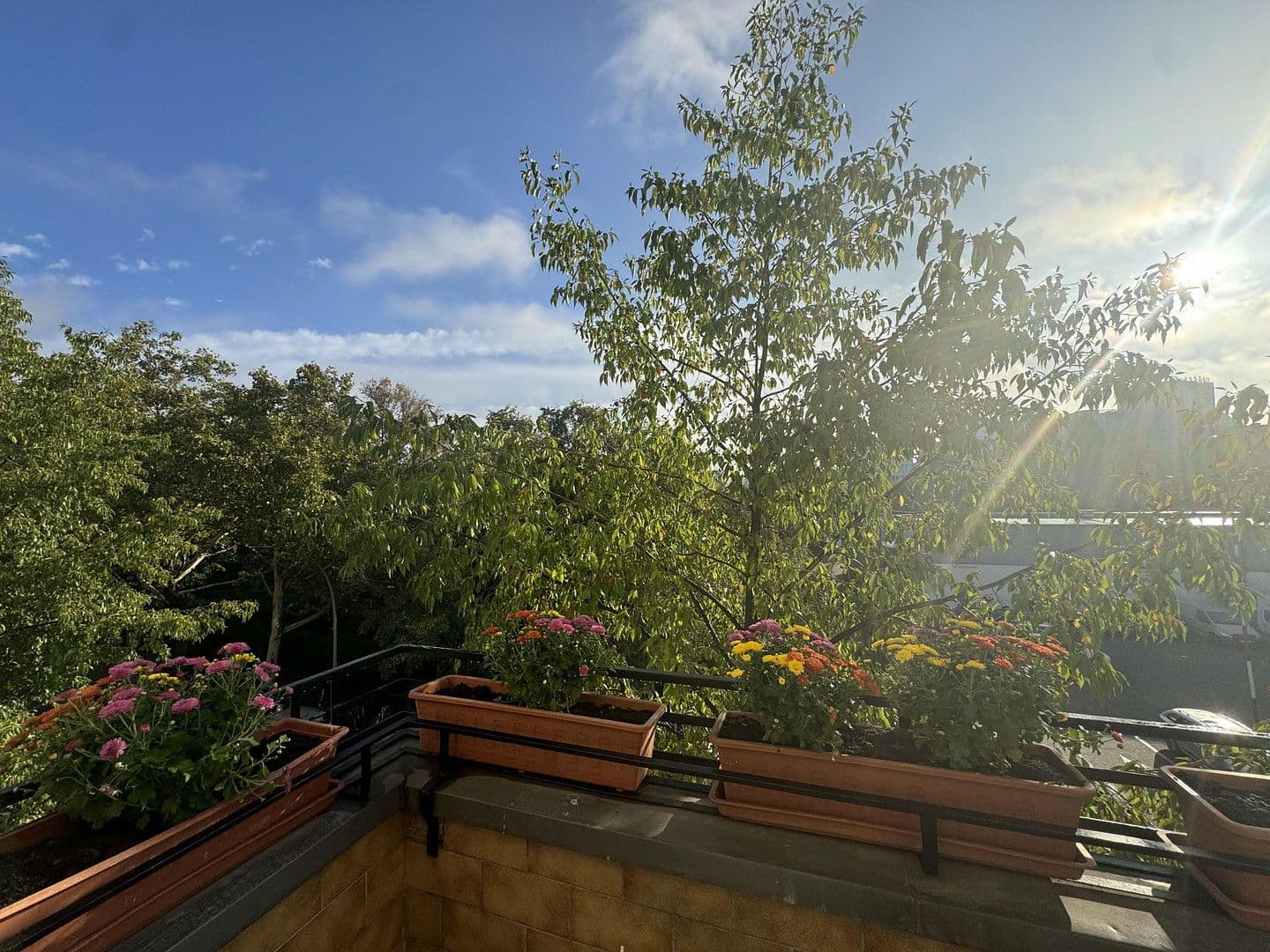 Prodej bytu 3+1 80 m², Berlin, Berlín Prodej bytu 3+1 80 m², Berlin, Berlín