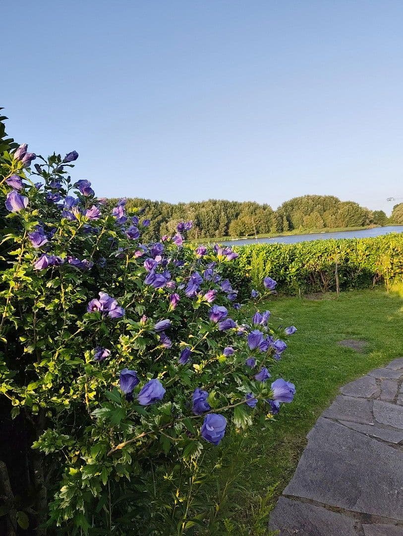 Prodej domu 70 m², pozemek 500 m², Neuhaus, Dolní Sasko Prodej domu 70 m², pozemek 500 m², Neuhaus, Dolní Sasko