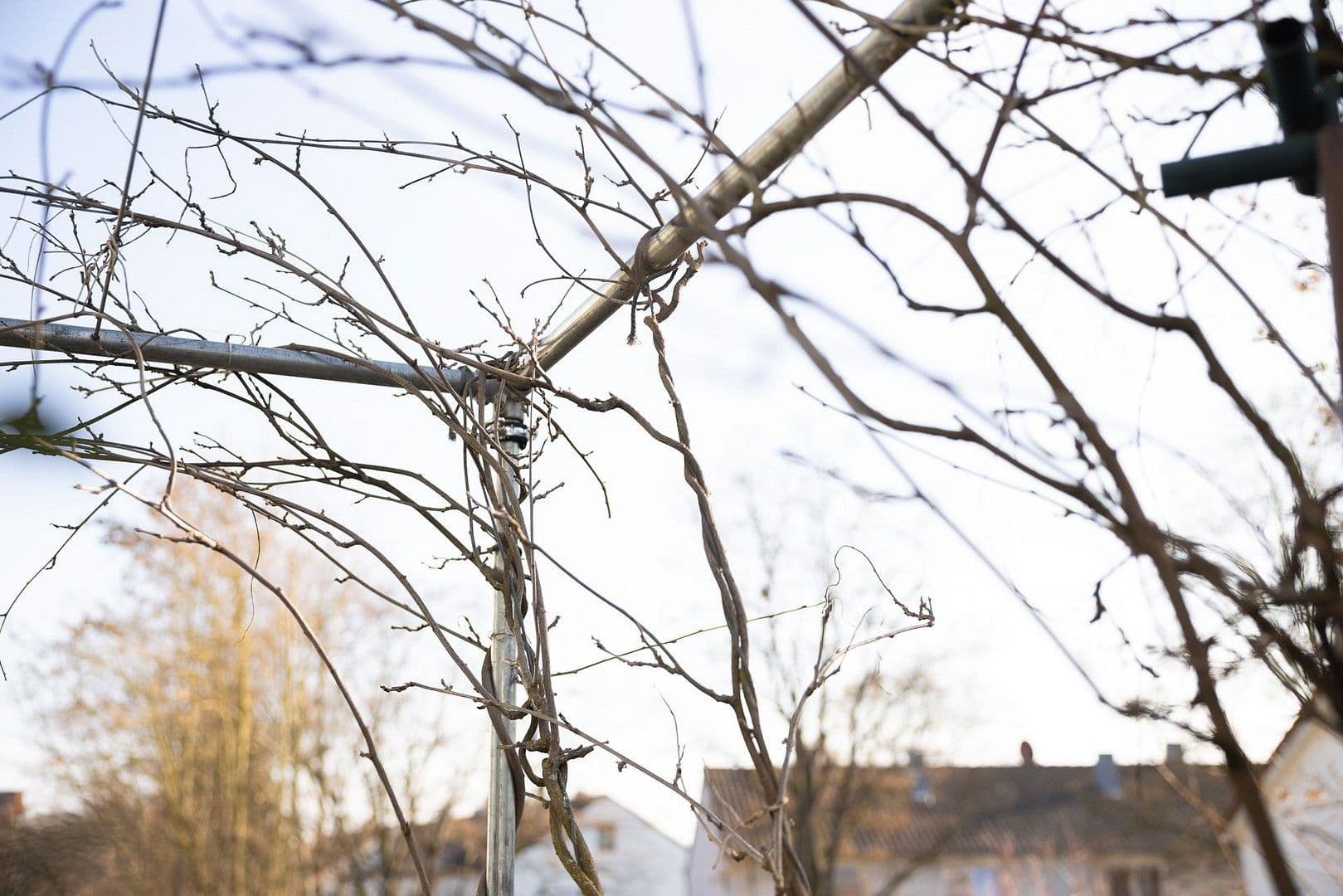 Prodej bytu 2+1 51 m², Waiblingen, Bádensko-Württembersko Prodej bytu 2+1 51 m², Waiblingen, Bádensko-Württembersko