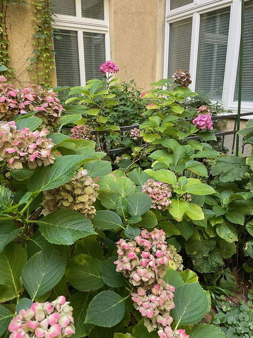 Pronájem kanceláře 135 m², Niebuhrstr. 36, Berlin, Berlín Pronájem kanceláře 135 m², Niebuhrstr. 36, Berlin, Berlín