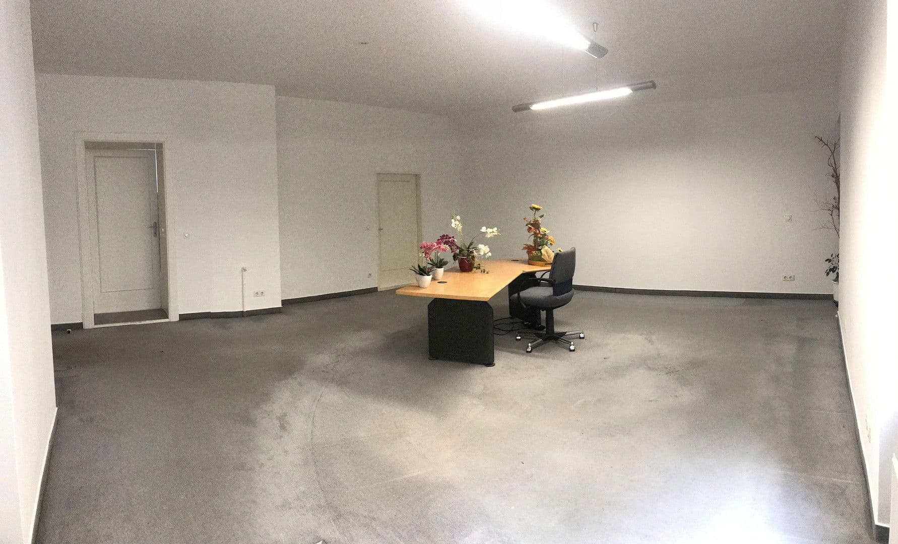 Pronájem kanceláře 135 m², Niebuhrstr. 36, Berlin, Berlín Pronájem kanceláře 135 m², Niebuhrstr. 36, Berlin, Berlín