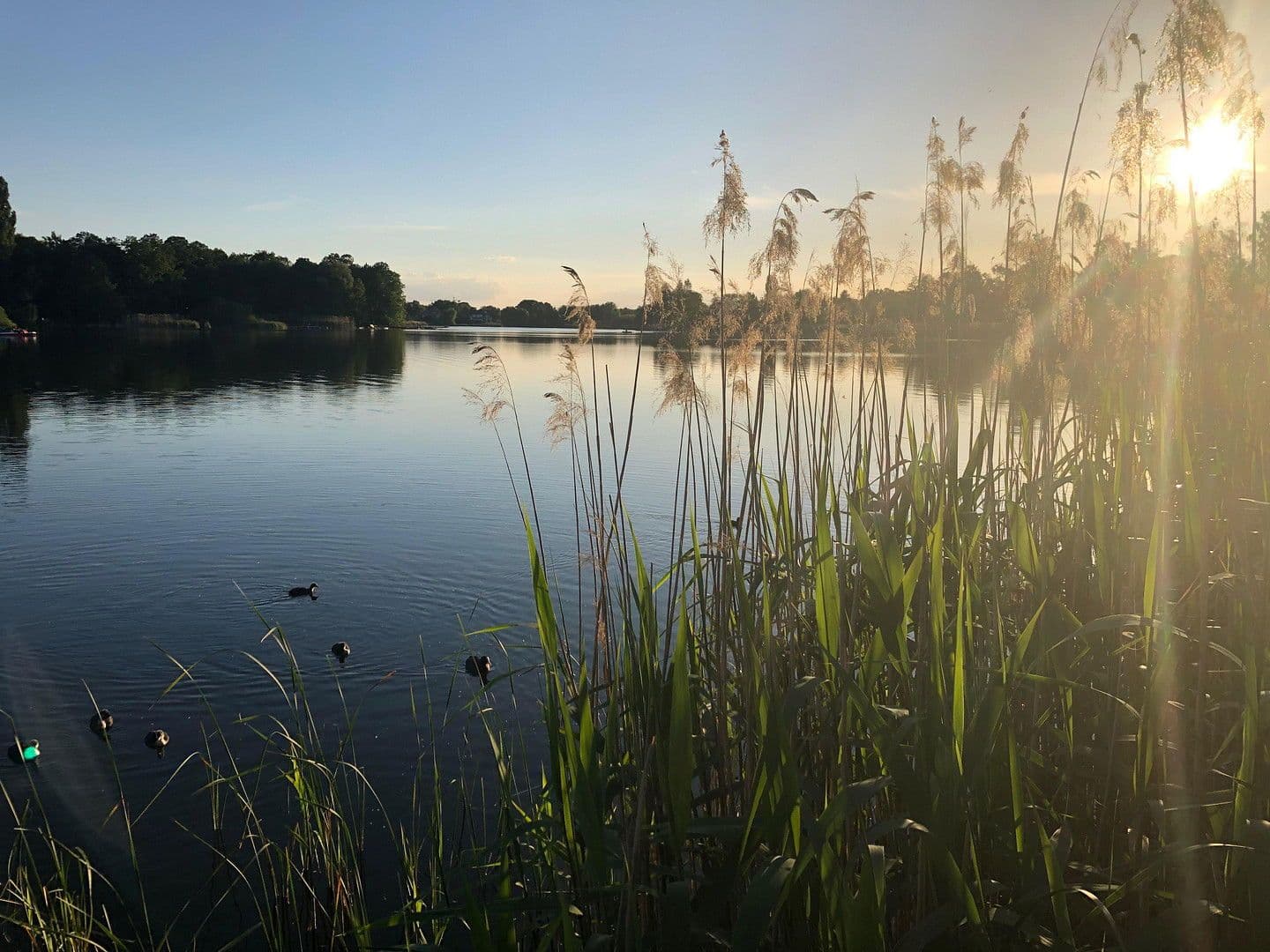 Prodej domu 218 m², pozemek 530 m², Falkensee, Braniborsko Prodej domu 218 m², pozemek 530 m², Falkensee, Braniborsko