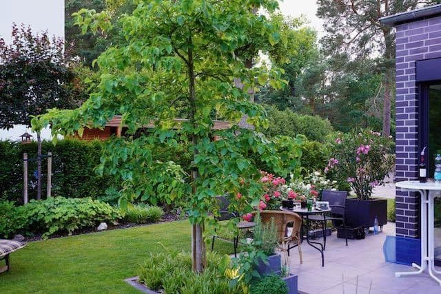 Prodej domu 218 m², pozemek 530 m², Falkensee, Braniborsko Prodej domu 218 m², pozemek 530 m², Falkensee, Braniborsko