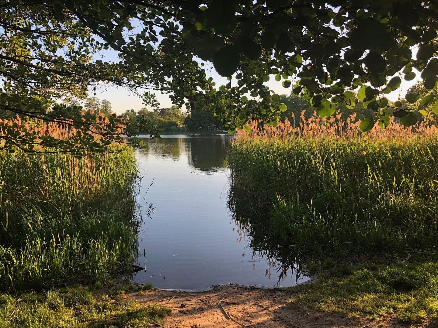 Prodej domu 218 m², pozemek 530 m², Falkensee, Braniborsko Prodej domu 218 m², pozemek 530 m², Falkensee, Braniborsko