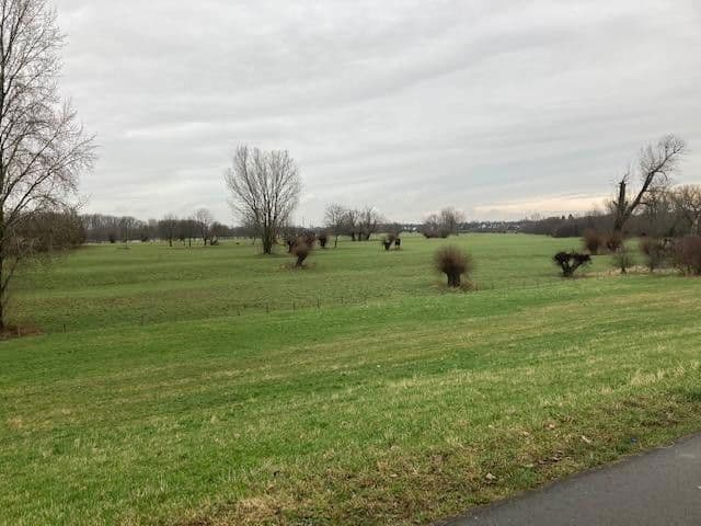 Prodej bytu 3+1 82 m², Walburgisstr., Düsseldorf (Kaiserswerth), Severní Porýní-Vestfálsko Prodej bytu 3+1 82 m², Walburgisstr., Düsseldorf (Kaiserswerth), Severní Porýní-Vestfálsko