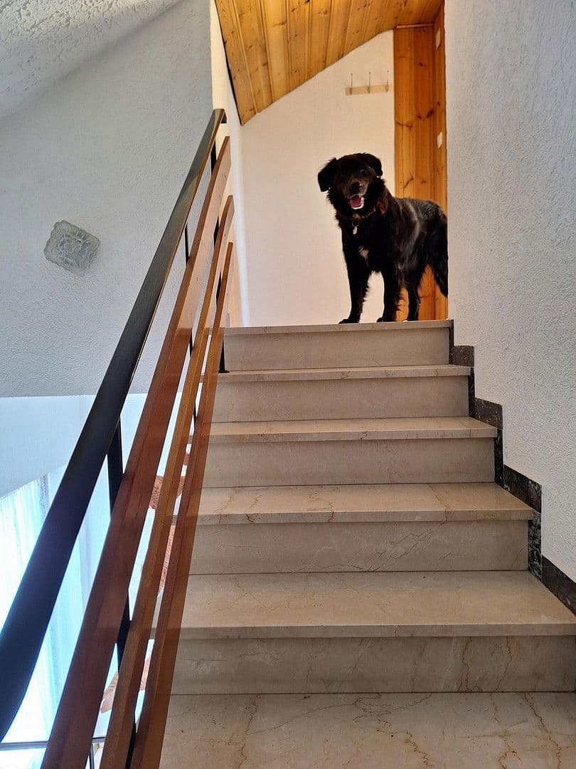 Prodej domu 383 m², pozemek 1.457 m², Schwaigener Str. 28, Mamming, Bavorsko Prodej domu 383 m², pozemek 1.457 m², Schwaigener Str. 28, Mamming, Bavorsko