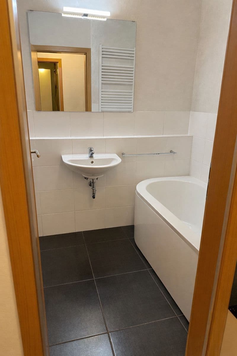 Pronájem bytu 56 m², Moutnická, Brno, Jihomoravský kraj Pronájem bytu 56 m², Moutnická, Brno, Jihomoravský kraj