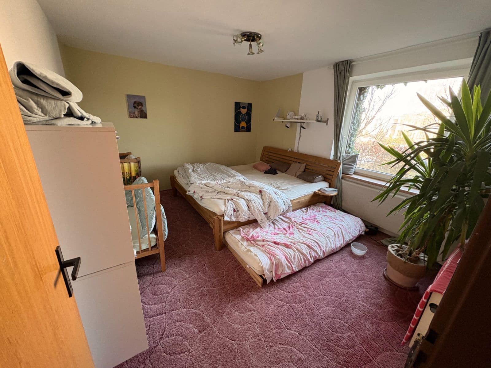 Prodej domu 310 m², pozemek 747 m², Sluneční, Jihlava, Kraj Vysočina Prodej domu 310 m², pozemek 747 m², Sluneční, Jihlava, Kraj Vysočina