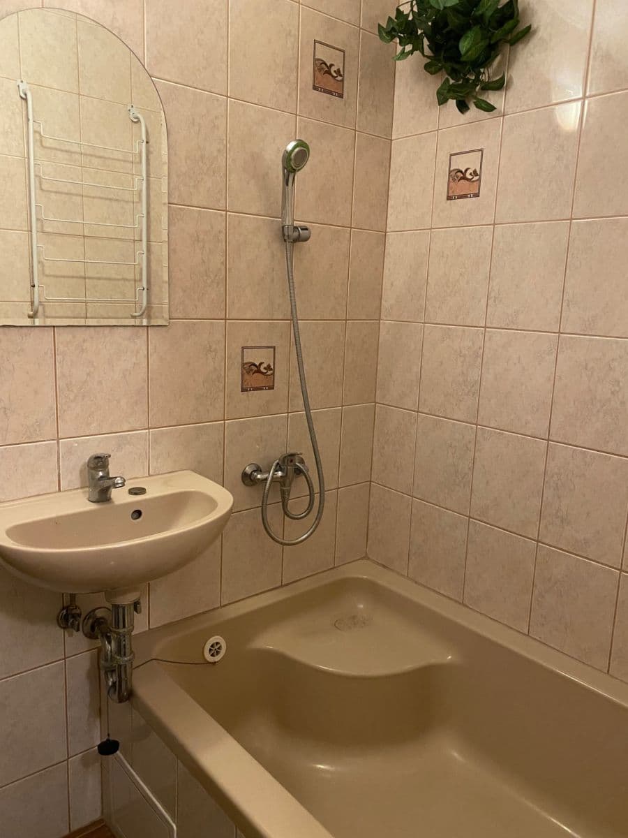 Pronájem bytu 1+kk 24 m², Přátelství, Cheb, Karlovarský kraj Pronájem bytu 1+kk 24 m², Přátelství, Cheb, Karlovarský kraj