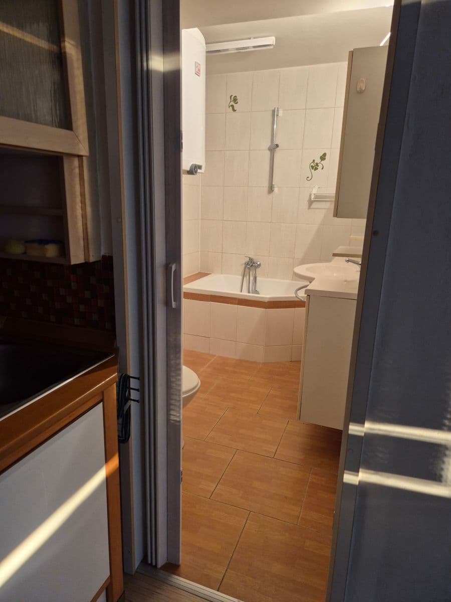 Pronájem bytu 1+kk 25 m², Praskolesy, Středočeský kraj Pronájem bytu 1+kk 25 m², Praskolesy, Středočeský kraj