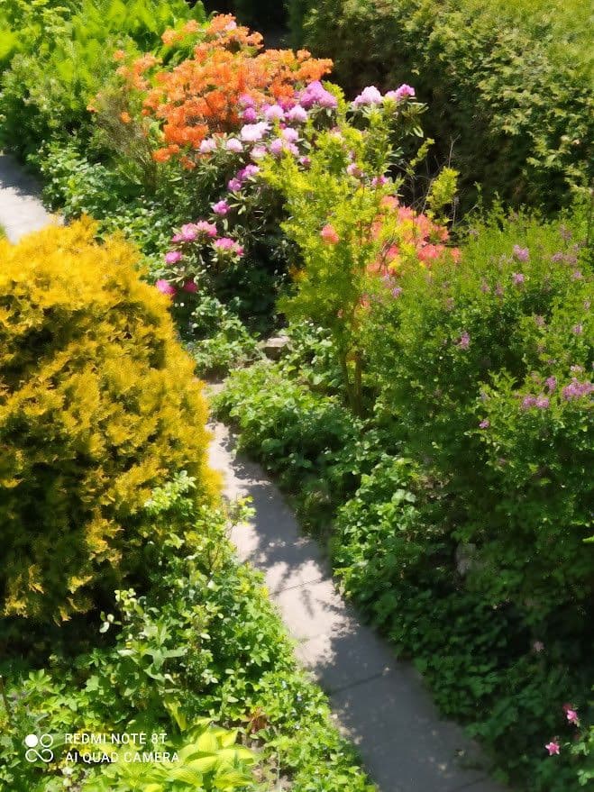 Prodej domu 85 m², pozemek 815 m², Město Albrechtice, Moravskoslezský kraj Prodej domu 85 m², pozemek 815 m², Město Albrechtice, Moravskoslezský kraj