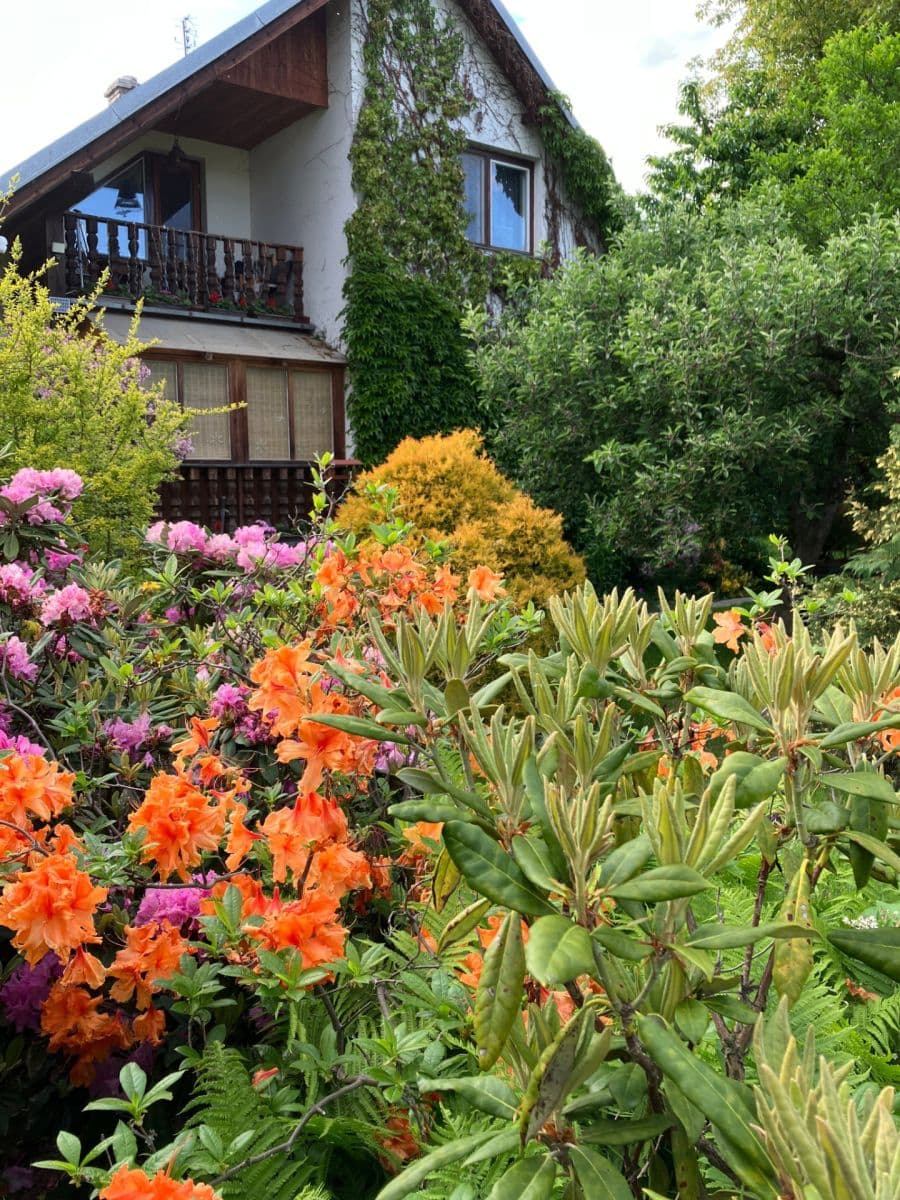 Prodej domu 85 m², pozemek 815 m², Město Albrechtice, Moravskoslezský kraj Prodej domu 85 m², pozemek 815 m², Město Albrechtice, Moravskoslezský kraj