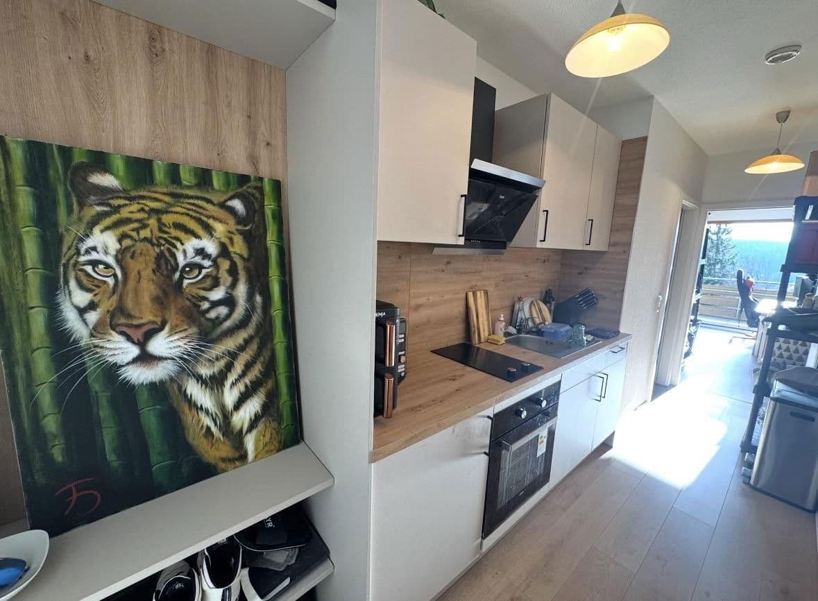 Pronájem bytu 1+1 36 m², Am Wald 19, Unterkirnach, Bádensko-Württembersko Pronájem bytu 1+1 36 m², Am Wald 19, Unterkirnach, Bádensko-Württembersko