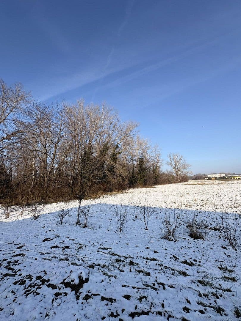 Prodej domu 120 m², pozemek 322 m², Wimpassing an der Leitha, Hradsko Prodej domu 120 m², pozemek 322 m², Wimpassing an der Leitha, Hradsko