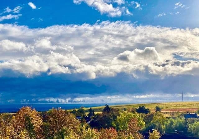 Prodej domu 198 m², pozemek 776 m², Weisenheim am Berg, Porýní-Falc Prodej domu 198 m², pozemek 776 m², Weisenheim am Berg, Porýní-Falc