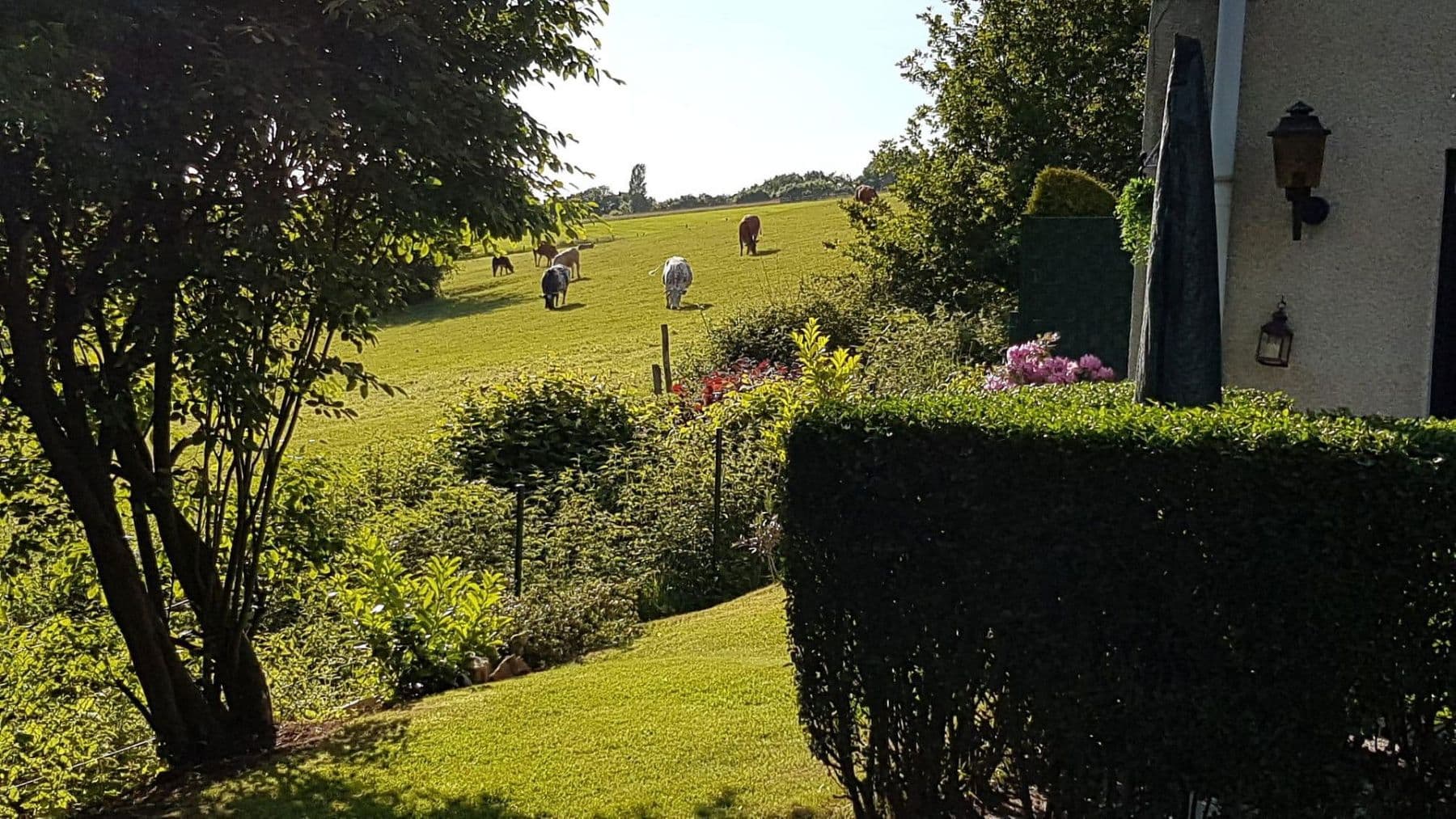 Prodej domu 228 m², pozemek 1.058 m², Solingen, Severní Porýní-Vestfálsko Prodej domu 228 m², pozemek 1.058 m², Solingen, Severní Porýní-Vestfálsko