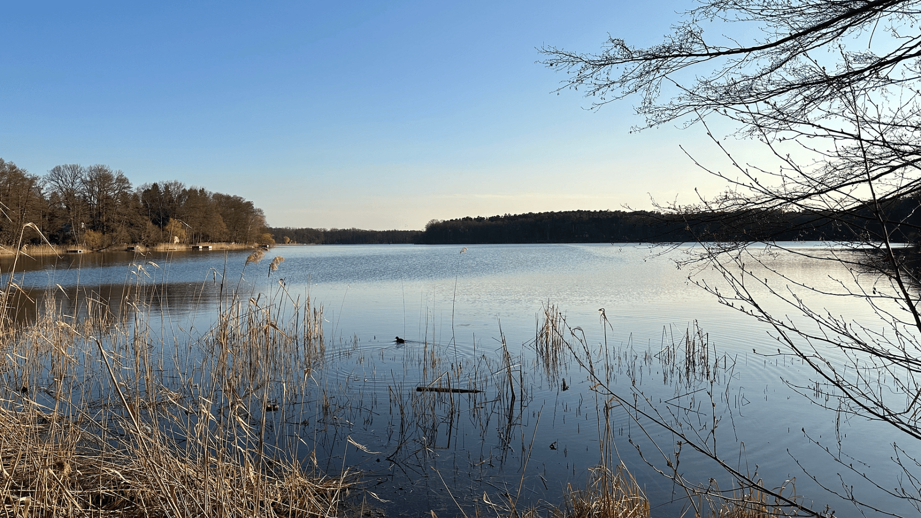 Pronájem bytu 3+1 141 m², Potsdamer Chaussee 11, Ludwigsfelde, Braniborsko Pronájem bytu 3+1 141 m², Potsdamer Chaussee 11, Ludwigsfelde, Braniborsko