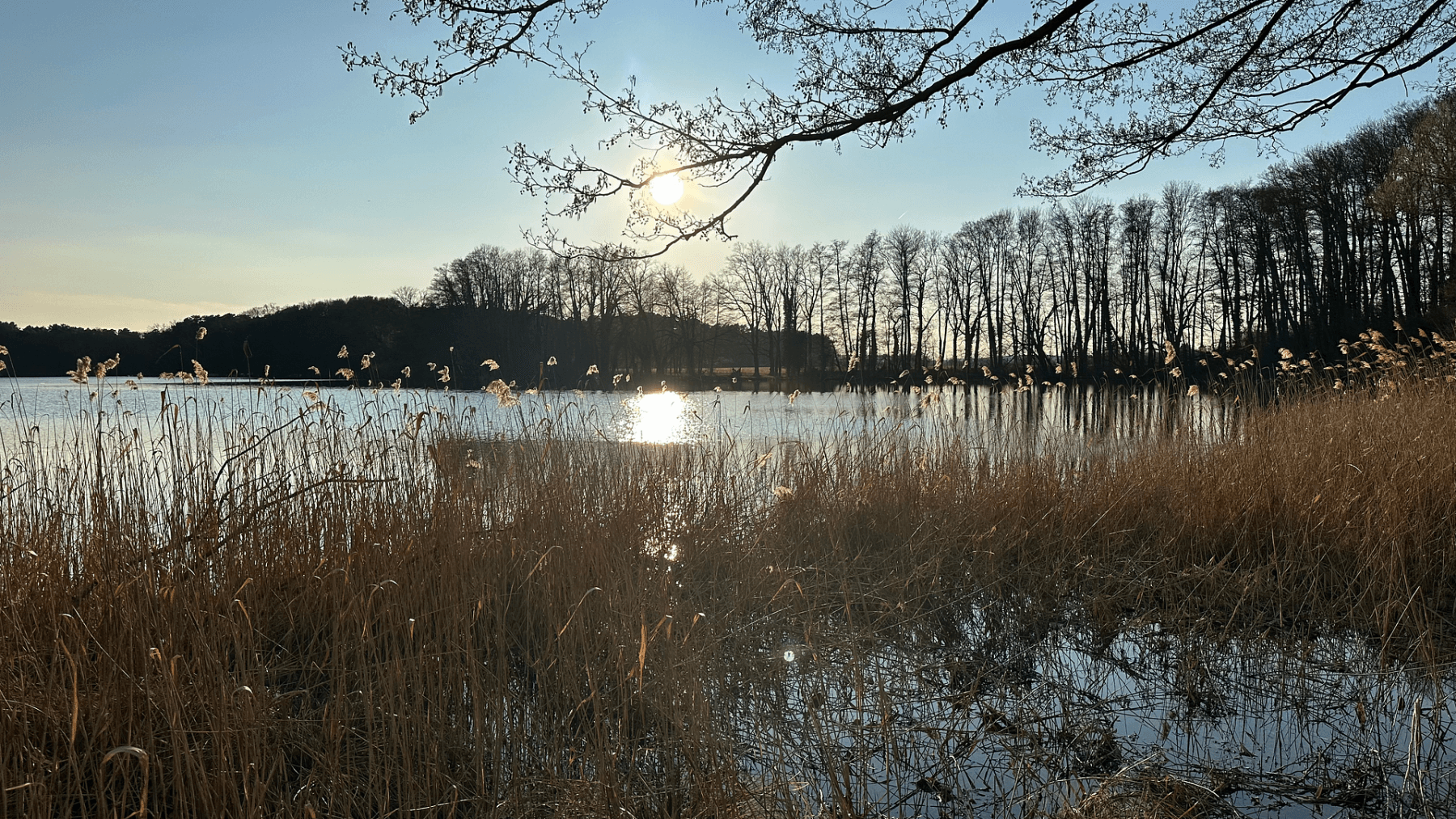 Pronájem bytu 3+1 141 m², Potsdamer Chaussee 11, Ludwigsfelde, Braniborsko Pronájem bytu 3+1 141 m², Potsdamer Chaussee 11, Ludwigsfelde, Braniborsko