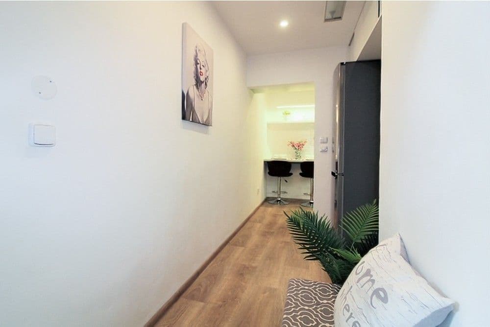 Pronájem bytu 1+1 48 m², Vítkova, Praha, Praha Pronájem bytu 1+1 48 m², Vítkova, Praha, Praha