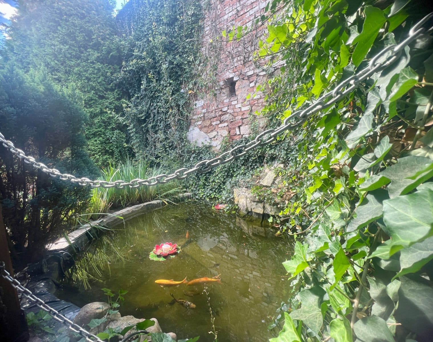 Prodej domu 306 m², pozemek 1.044 m², Očihov, Ústecký kraj Prodej domu 306 m², pozemek 1.044 m², Očihov, Ústecký kraj