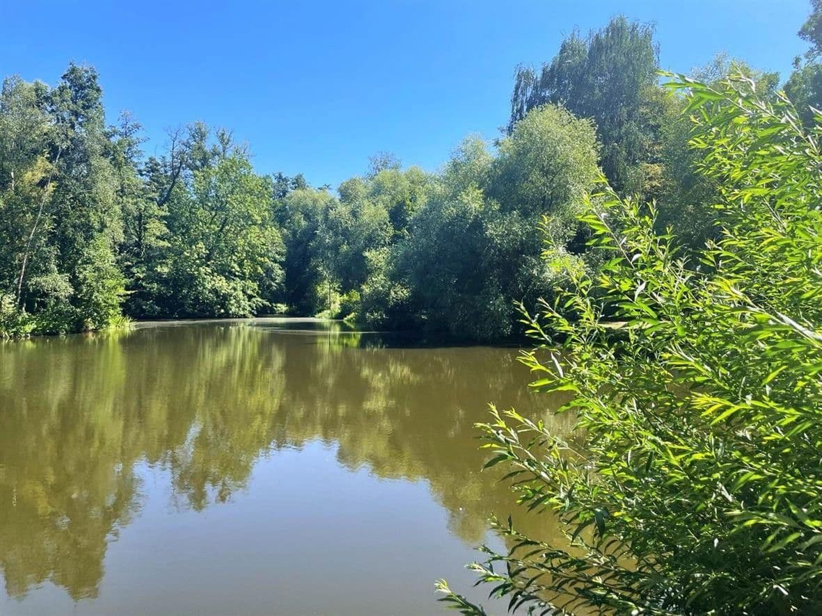 Prodej bytu 1+1 28 m², Norikerstrasse 19B, Nürnberg, Bavorsko Prodej bytu 1+1 28 m², Norikerstrasse 19B, Nürnberg, Bavorsko