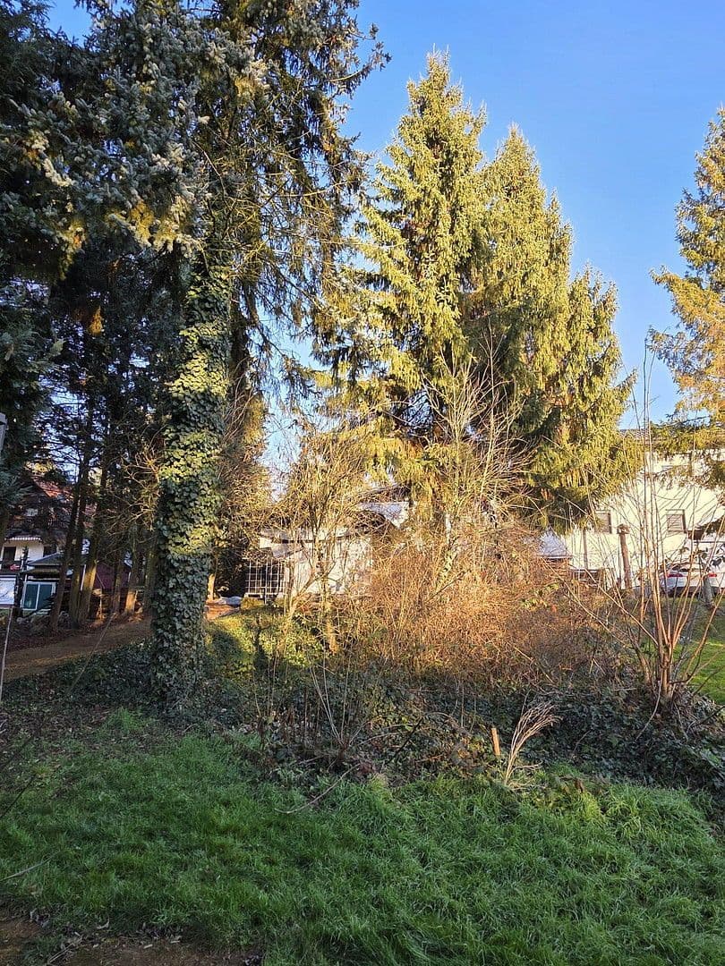 Prodej domu 144 m², pozemek 2.200 m², Petersberg, Sasko-Anhaltsko Prodej domu 144 m², pozemek 2.200 m², Petersberg, Sasko-Anhaltsko