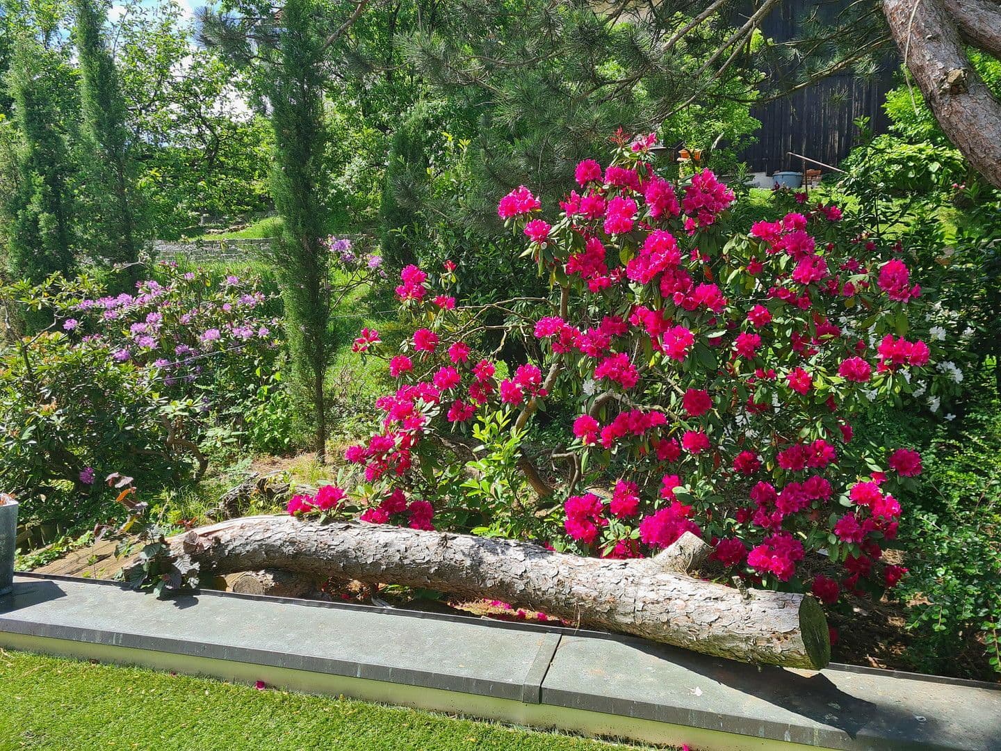 Prodej domu 290 m², pozemek 2.900 m², Pfarrkirchen, Bavorsko Prodej domu 290 m², pozemek 2.900 m², Pfarrkirchen, Bavorsko