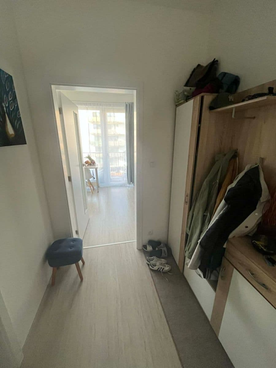 Pronájem bytu 1+kk 37 m², Sportovní, Brno, Jihomoravský kraj Pronájem bytu 1+kk 37 m², Sportovní, Brno, Jihomoravský kraj