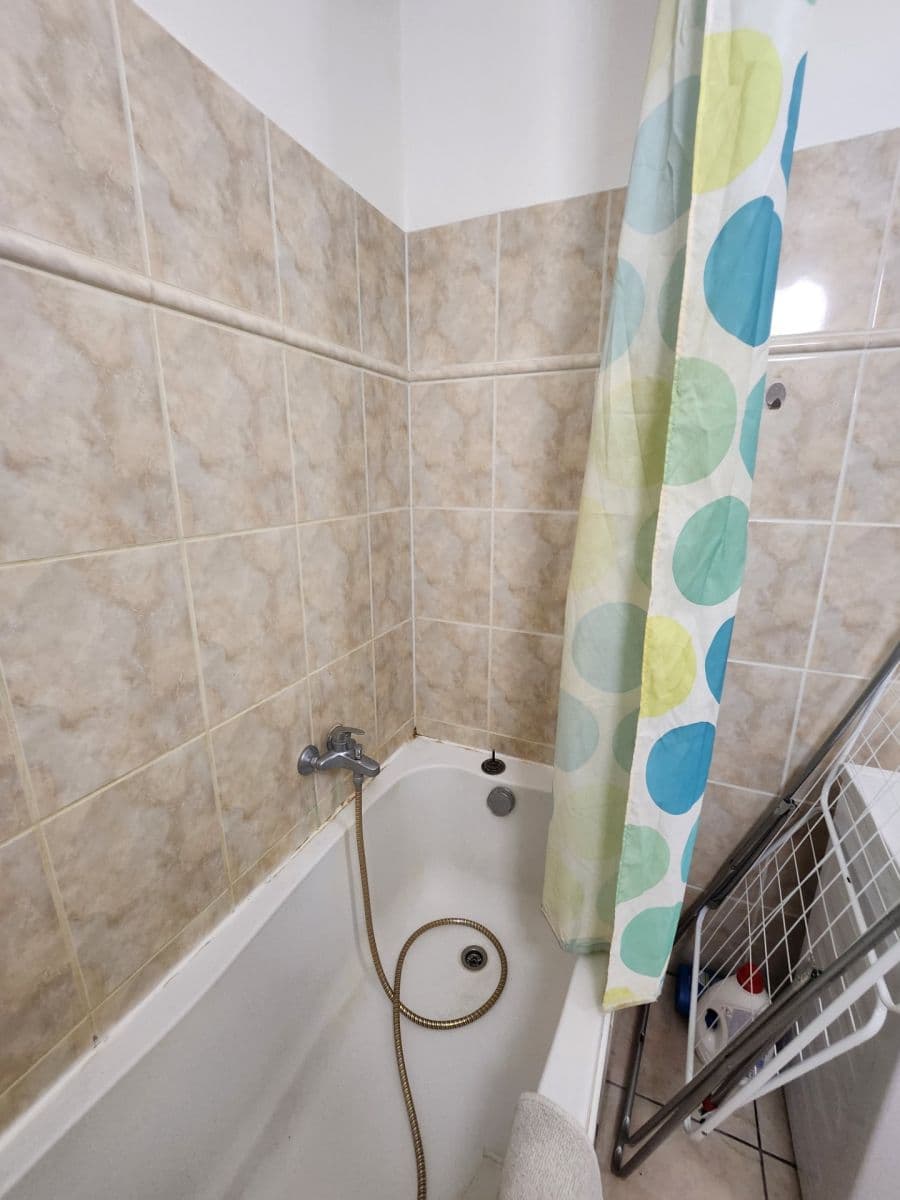 Pronájem bytu 1+kk 36 m², Božetěchova, Brno, Jihomoravský kraj Pronájem bytu 1+kk 36 m², Božetěchova, Brno, Jihomoravský kraj